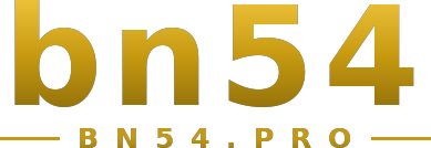 bn54 logo